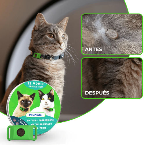 Paw Vida™ 12 Meses Libre de Pulgas y Garrapatas Para Gatos
