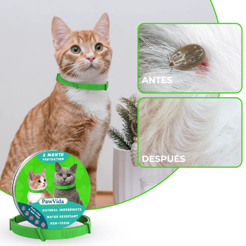 Paw Vida™ Collar Antipulgas y Antigarrapatas Natural Para Gatos