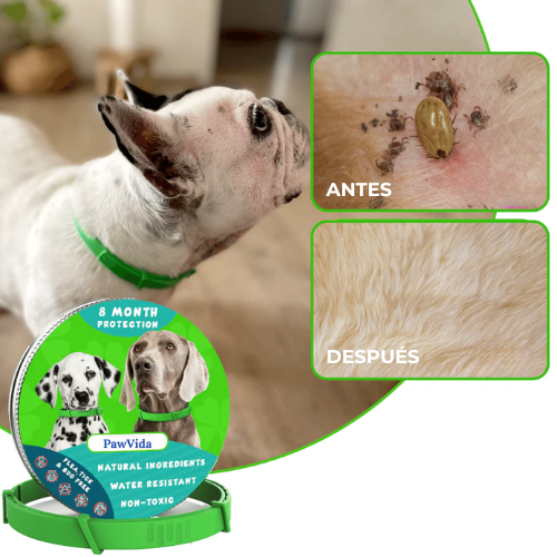 Paw Vida™ Collar Antipulgas y Antigarrapatas Natural Para Perros
