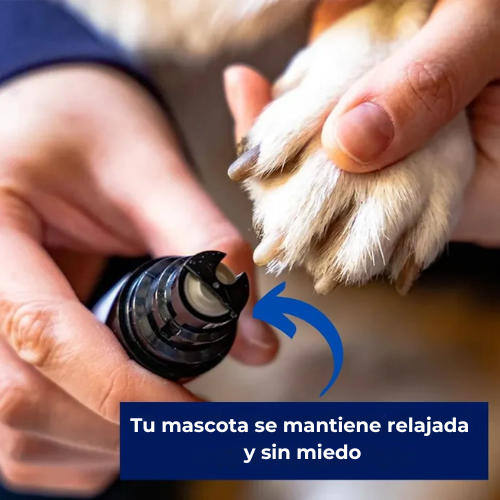 Groom Pro Silencioso