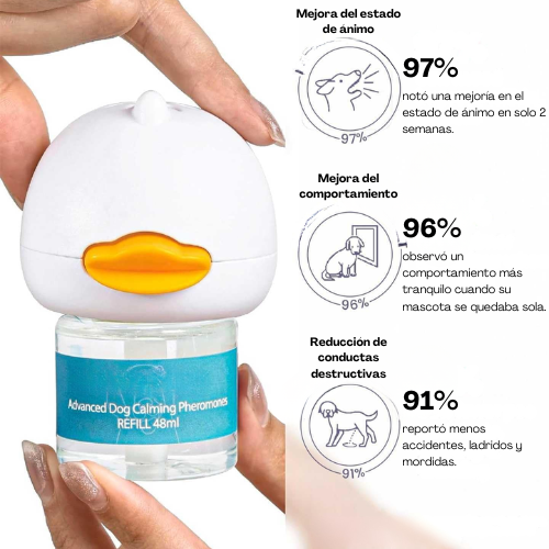 Kit Difusor Calmante Para Perros
